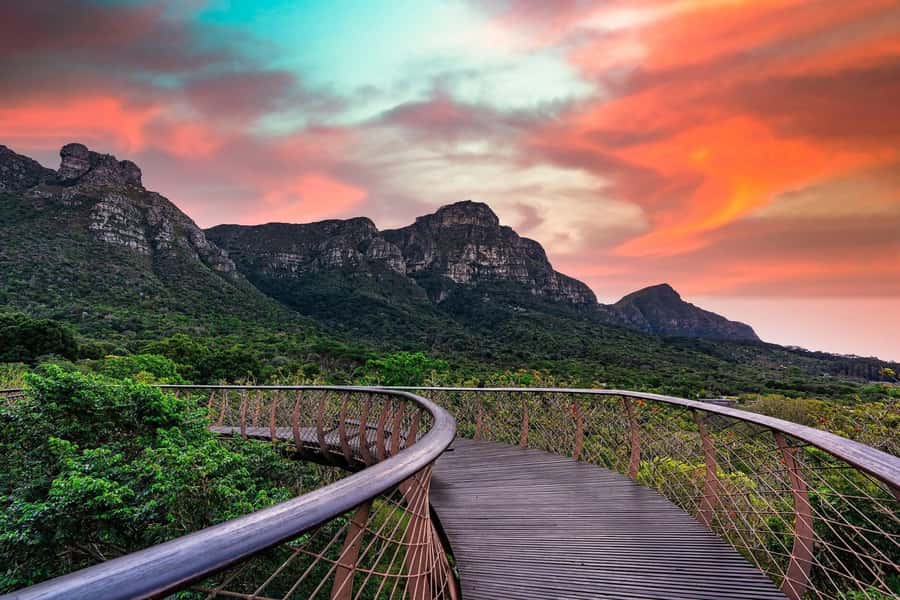 Cape Town: Kirstenbosch Botanical Garden Entry Ticket - Practical details that can save you trouble
