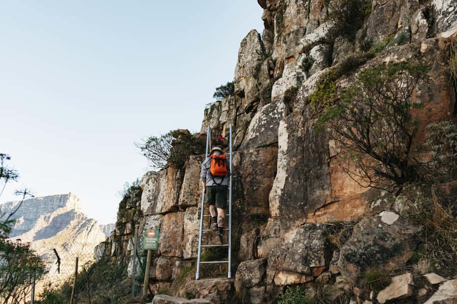 Cape Town: Lion's Head Guided Hike at Sunset - The descent after dark