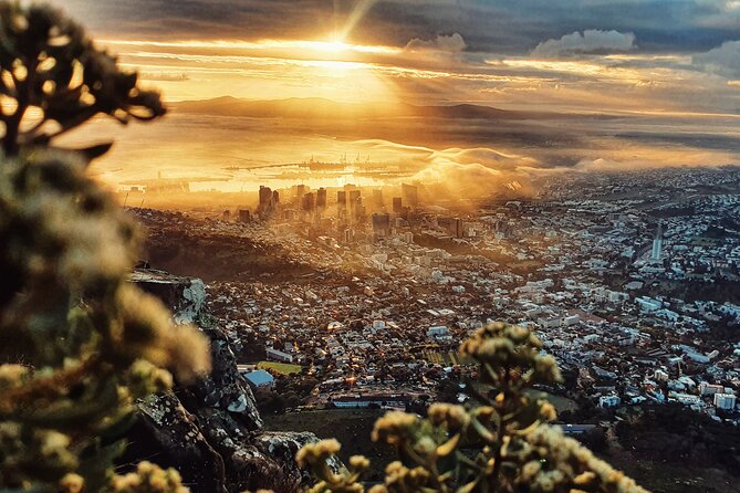 Cape Town: Lion's Head Sunrise/Sunset Hike - Photo stops with a purpose
