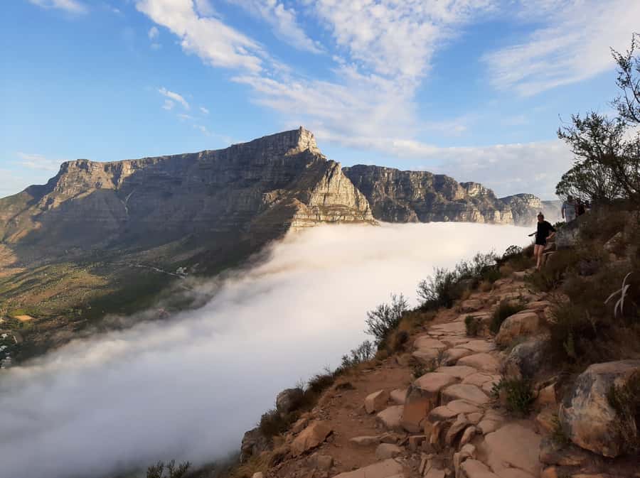 Cape Town: Lion's Head Sunrise with coffee or Sunset Hike - The steep finish: ladders, chains, and rock pitches