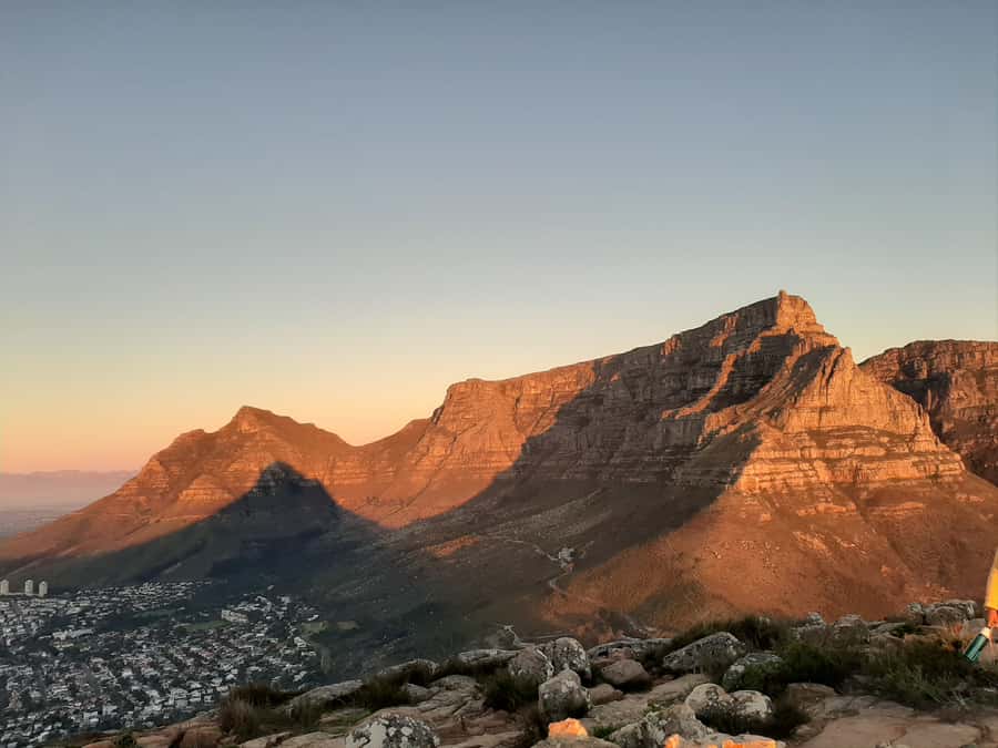 Cape Town: Lion's Head Sunrise with coffee or Sunset Hike - From the coffee truck to the silver-leaf trees