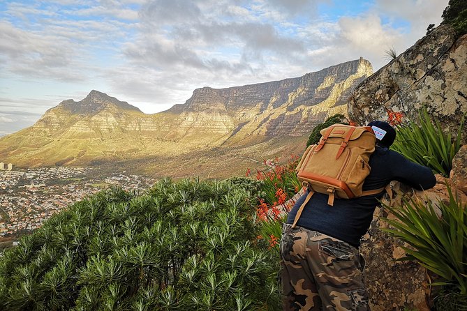 Cape Town: Lion's Head Sunset Hike - The summit views over Cape Town