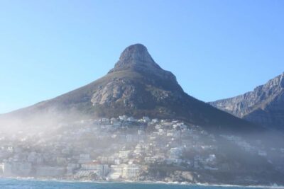 Marine Big 5 Ocean Safari from V&A Waterfront