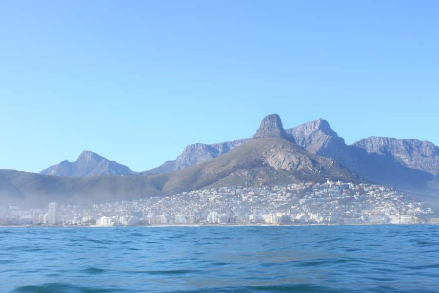 Cape Town: Marine Big 5 Ocean Safari from V&A Waterfront - Booking advice for the best chance of a good day