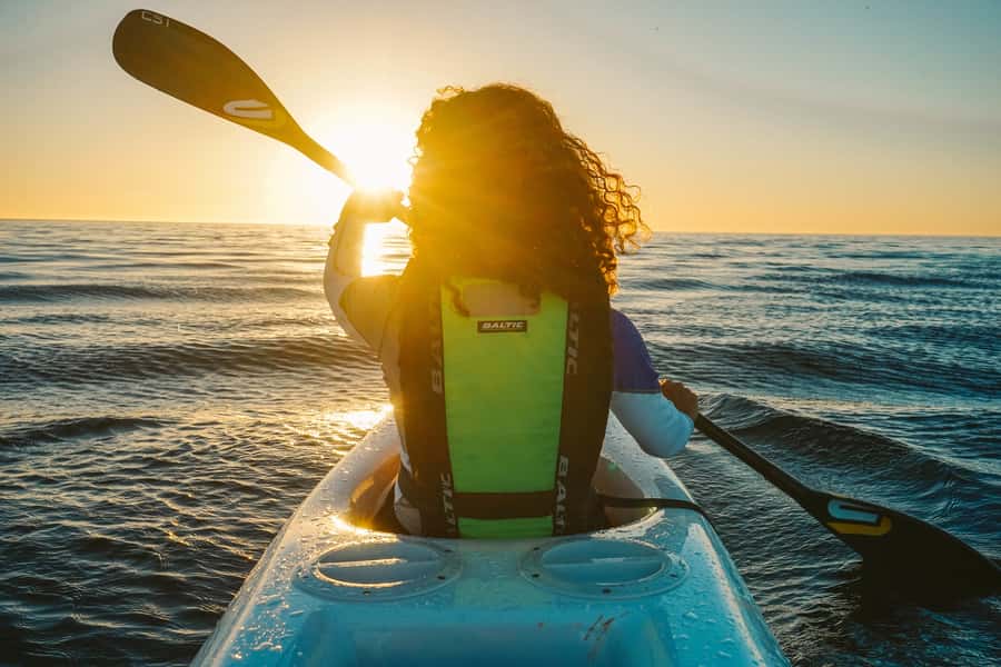 Cape Town: Marine Life Kayak Tour From the V&A Waterfront - Looking for dolphins, seals, penguins, and sunfish