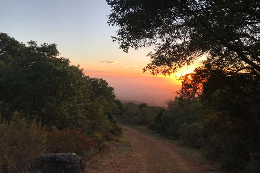 Cape Town: Mountain Biking Trip along Table Mountain - Why this route is more than a cable-car visit