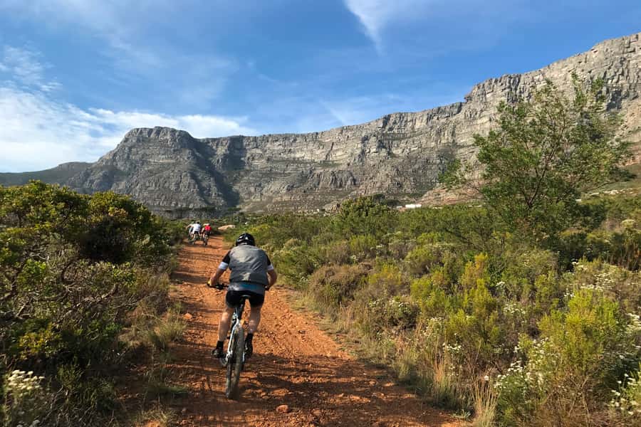 Cape Town: Mountain Biking Trip along Table Mountain - Newlands Forest brings the technical moments
