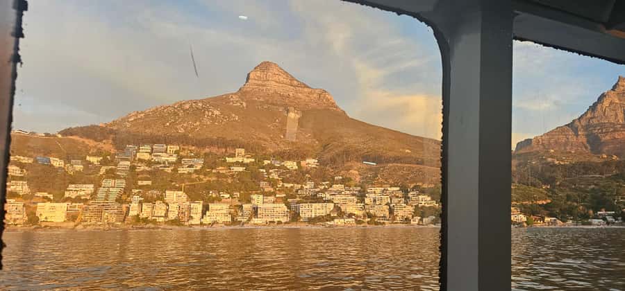 Cape Town: Ocean Safari 1 Hour - Key points to know before you book