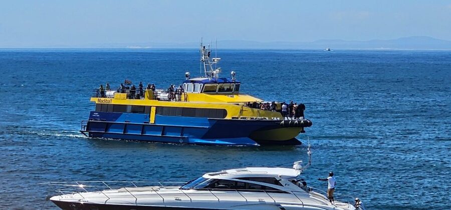 Cape Town: Ocean Safari 1 Hour - Making the most of your hour