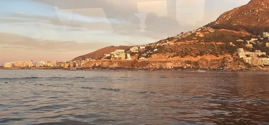 Cape Town: Ocean Safari 1 Hour - Searching for dolphins, seals, and penguins