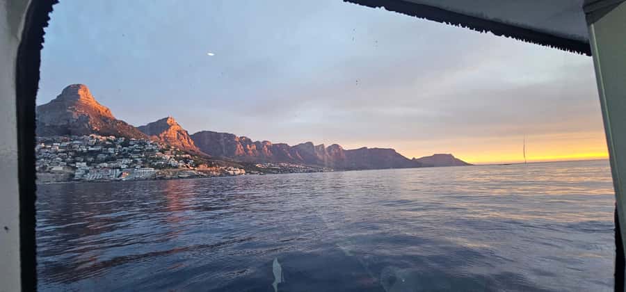 Cape Town: Ocean Safari 1 Hour - Whale watching when the season is right