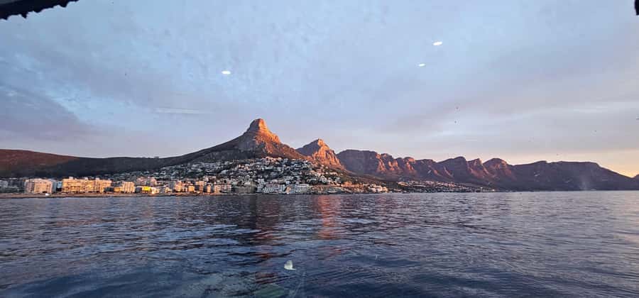 Cape Town: Ocean Safari 1 Hour - What the guide adds to the hour