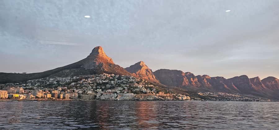 Cape Town: Ocean Safari 1 Hour - Why the one-hour length works