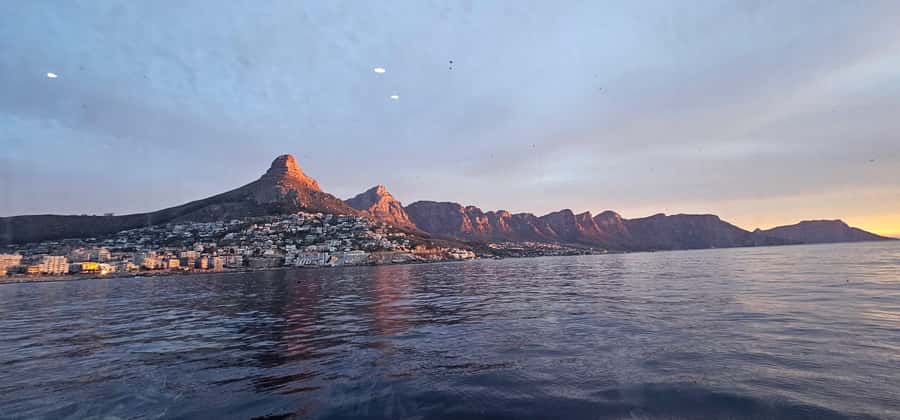 Cape Town: Ocean Safari 1 Hour - Is $62 a fair price?