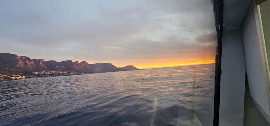 Cape Town: Ocean Safari 1 Hour - Comfort, weather, and who should skip it