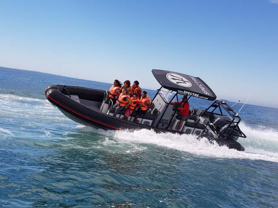 Cape Town Ocean Safari: Speed Boat Adventure in Table Bay - The speedboat ride begins with a jolt