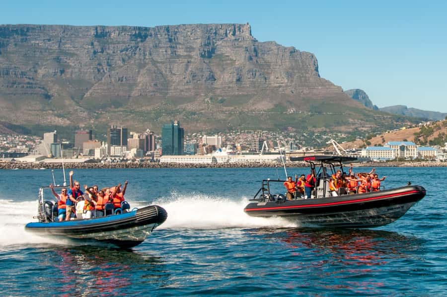 Cape Town Ocean Safari: Speed Boat Adventure in Table Bay - The views from the water