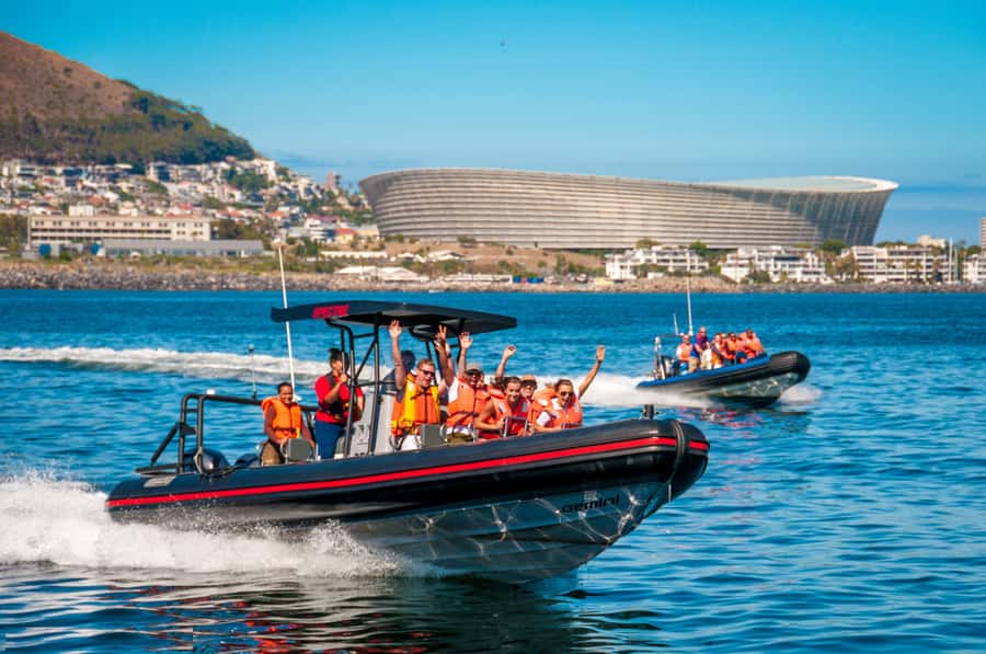 Cape Town Ocean Safari: Speed Boat Adventure in Table Bay - Searching Table Bay for wildlife