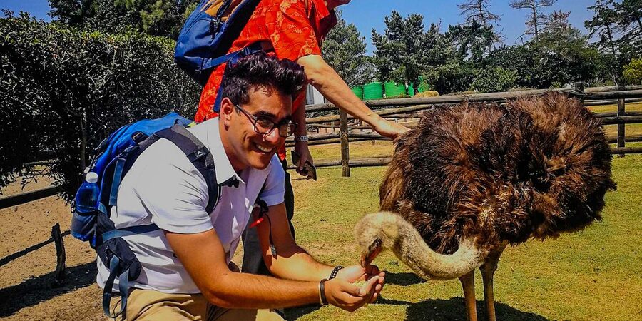 CAPE TOWN: OSTRICH RANCH QUAD BIKE RIDE & OSTRICH TOUR - Should you book the quad ride and ostrich tour?