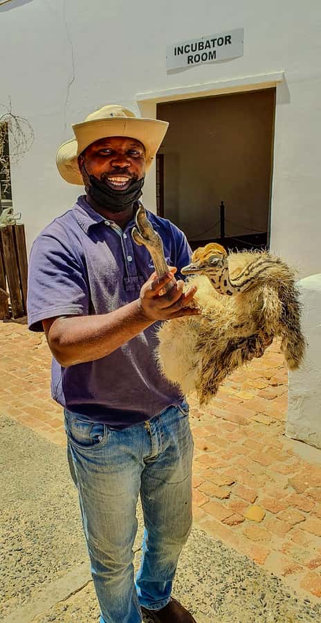 CAPE TOWN: OSTRICH RANCH QUAD BIKE RIDE & OSTRICH TOUR - The views from the ranch