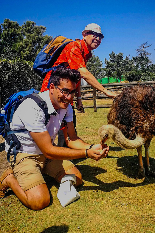 CAPE TOWN: OSTRICH RANCH QUAD BIKE RIDE & OSTRICH TOUR - Who will enjoy this most?