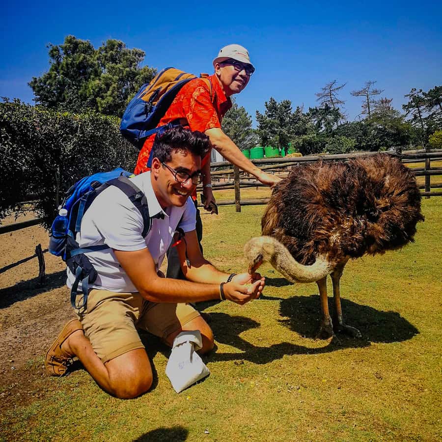 CAPE TOWN: OSTRICH RANCH QUAD BIKE RIDE & OSTRICH TOUR - Starting on the quad-bike route
