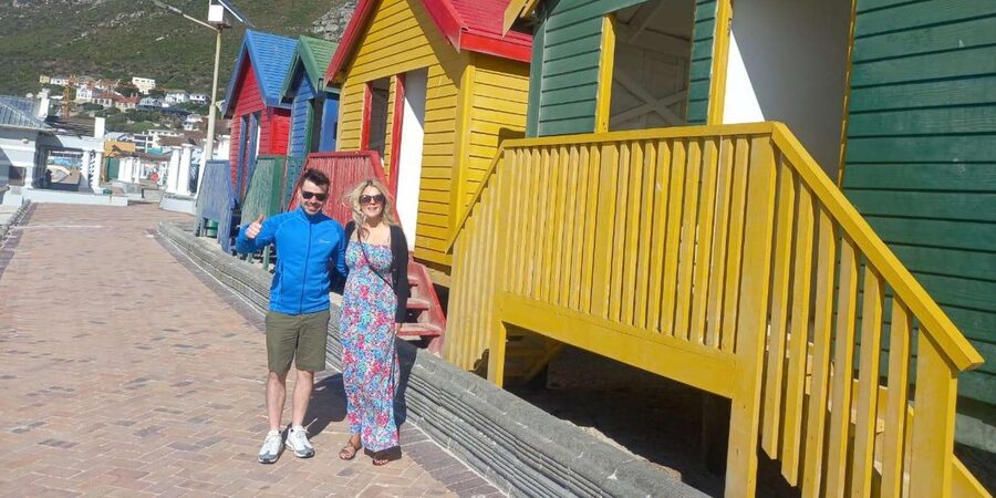 Cape Town .Penguin & Cape of good hope Half day Share Tour - Should you book this half-day tour?