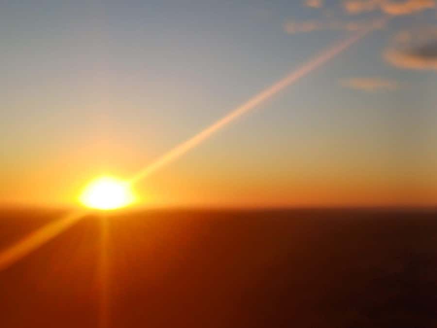 Cape Town: Penguins and Cape of Good Hope Sunset Tour - Why this half-day tour works