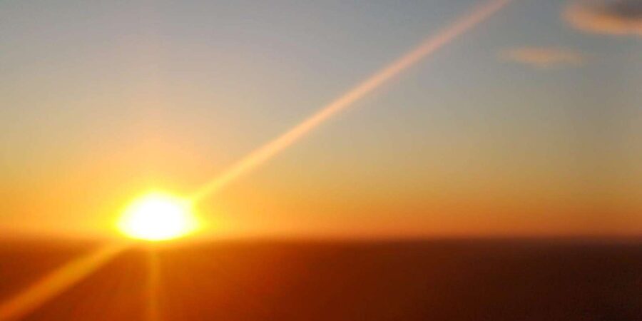 Cape Town: Penguins and Cape of Good Hope Sunset Tour - The real price: $38 plus substantial fees