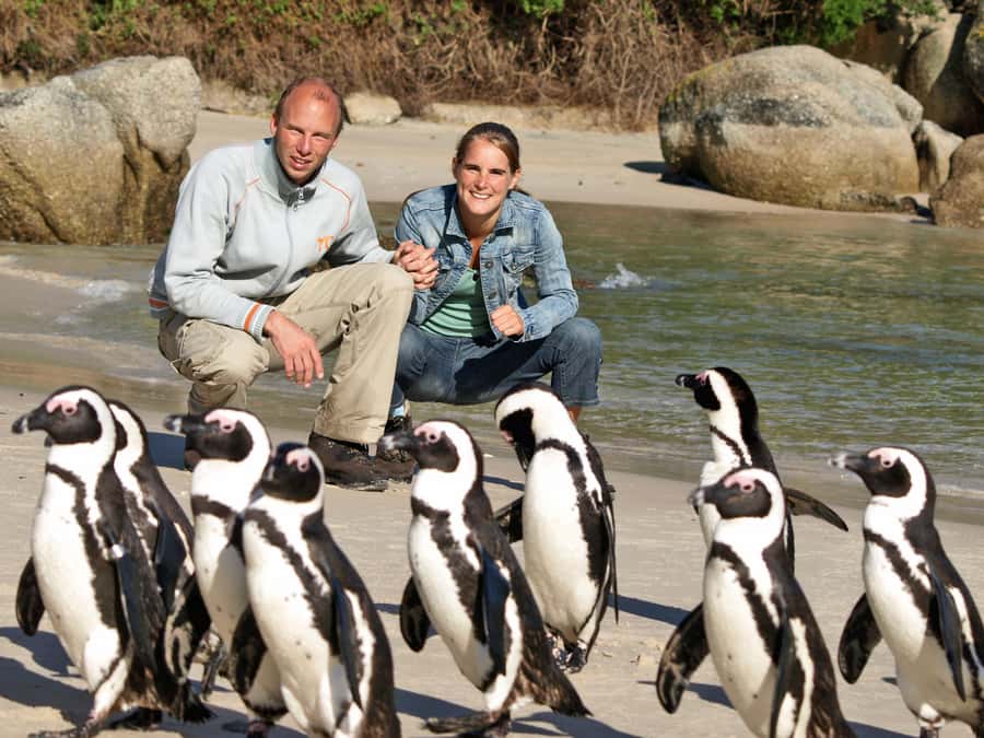 Cape Town: Penguins & Cape of Good Hope Half Day Shared Tour - From Muizenberg huts to Simon’s Town