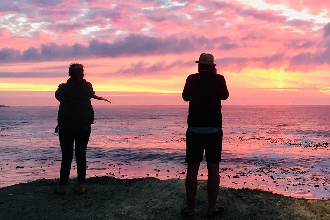 Cape Town Peninsula Day Tour ( Cape Point/Boulders/Wine Tasting) - Why this Cape Town day tour works well