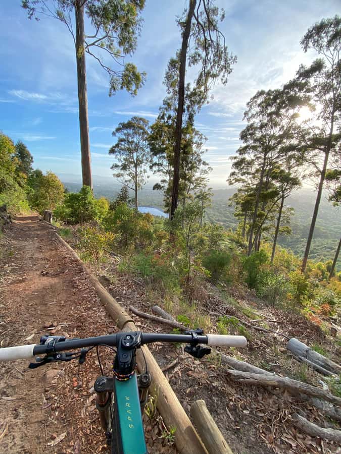 Cape Town: Peninsula Private Mountain Bike Tour with Ex-Pro - What the three hours feel like