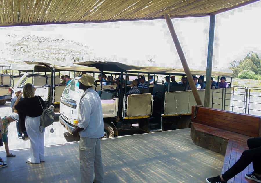Cape Town: Private Aquila Reserve Safari with Winery Lunch - The drive from Cape Town to Aquila