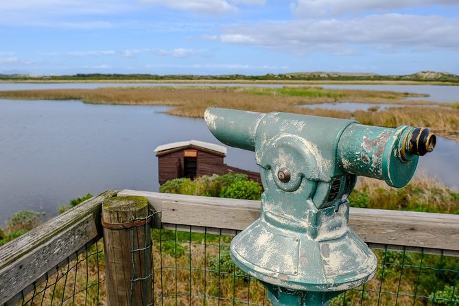Cape Town Private Birding Tour - Strandfontein is the main birding stop