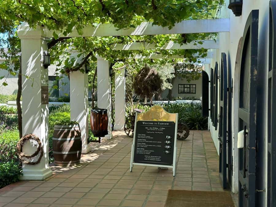 Cape town: Private Full-day Big 5 Aquila Game Reserve Tour - Buffet lunch after the animals
