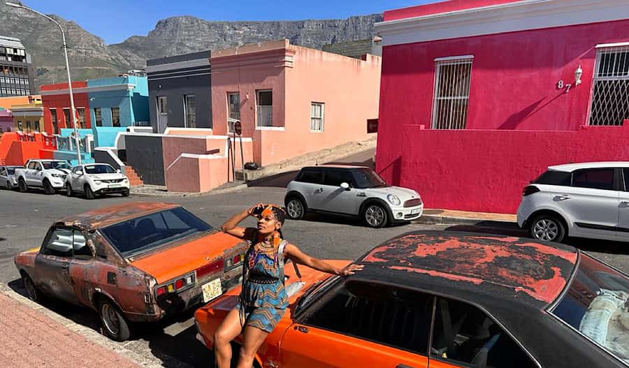 Cape Town: Private Full-Day Cape of Good Hope Tour - Optional wine and ostriches can replace other stops