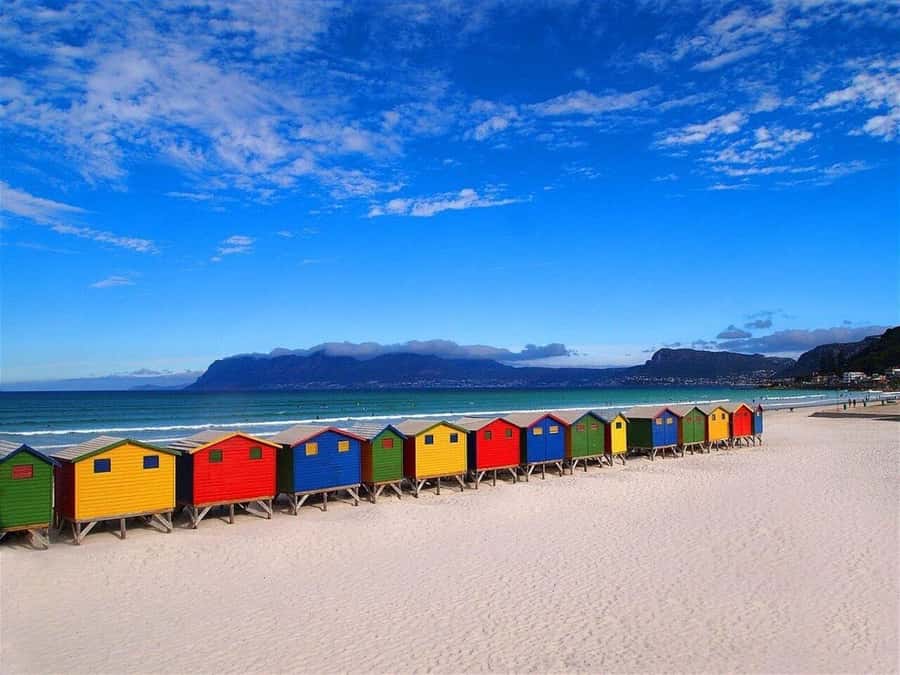 Cape Town: Private Full-Day Cape of Good Hope Tour - Hout Bay and Seal Island: choose your time carefully