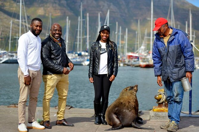 Cape Town Private Group Tour to Cape of Good Hope and Boulders Penguins Colony - Hout Bay offers a choice: seals or shopping
