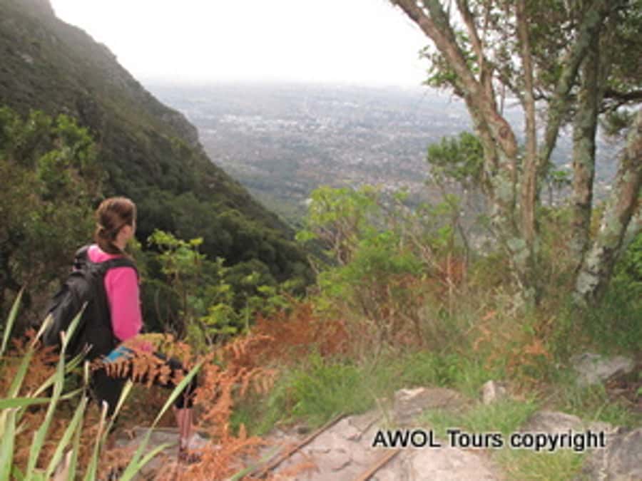 Cape Town Private Guided Table Mountain Hikes - How hard is this hike?