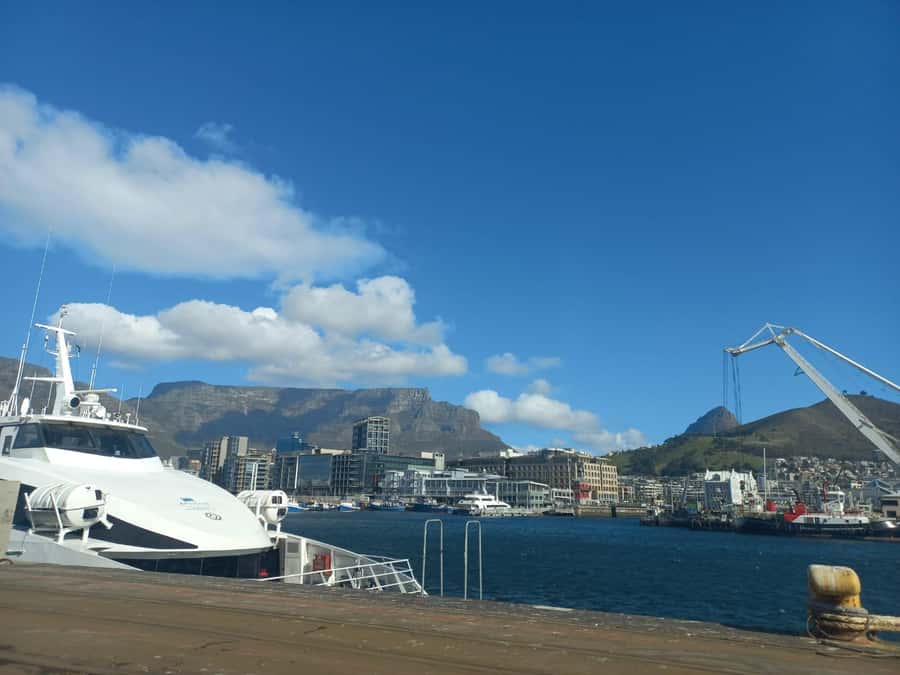 Cape Town: Private Robben Island Half-Day Tour with Pickup - What the private part really includes