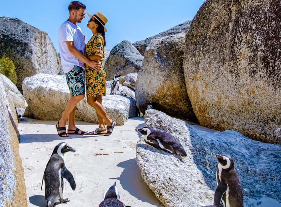 Cape Town Private Tour to Cape Of Good Hope and the Penguins - Bo-Kaap starts the day with colour and culture