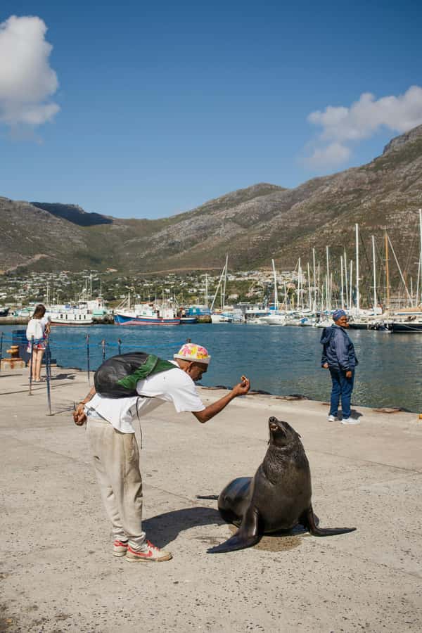 Cape Town: Private Tour with Customizable Itinerary - Special activities need careful planning