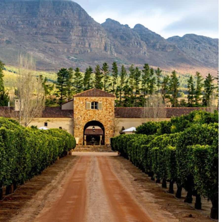 Cape Town: Private Wine Tour with Tastings and Lunch - Key things to know before booking