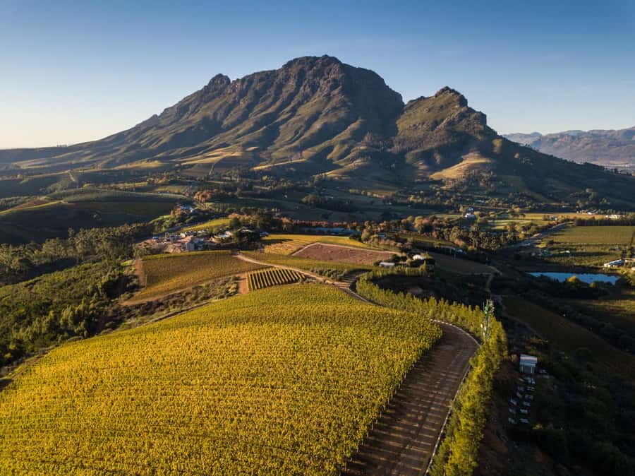 Cape Town: Private Wine Tour with Tastings and Lunch - Leaving Cape Town for the Winelands