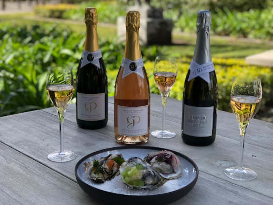 Cape Town: Private Wine Tour with Tastings and Lunch - Stellenbosch and Franschhoek in one day