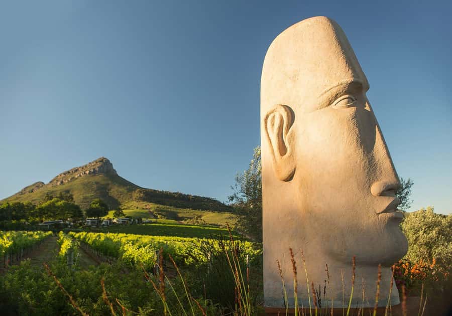 Cape Town: Private Wine Tour with Tastings and Lunch - Who will enjoy this private wine day
