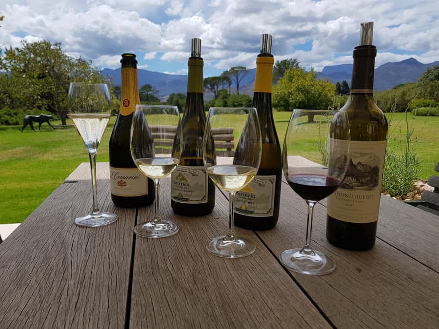 Cape Town: Private Wine Tour - Groot Constantia, where South African wine history begins