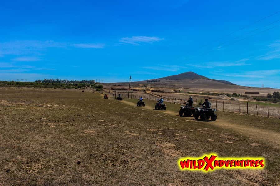 CAPE TOWN: QUAD BIKE FUN RIDE AT OSTRICH RANCH, DURBANVILLE - Key points to know before you book