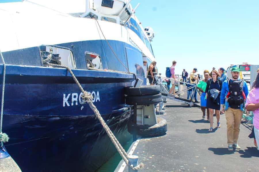 Cape Town: Robben Island ferry ticket plus Guided Tour - The 30-minute ferry ride to the island