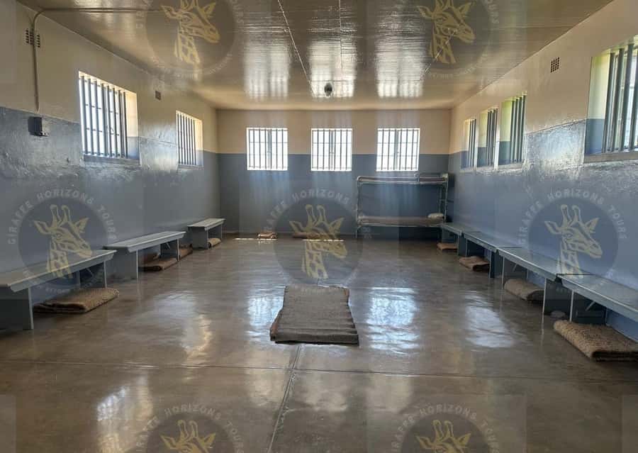 Cape Town: Robben Island Ferry with Prison Ticket and Tour - Time for exhibits, views, and reflection